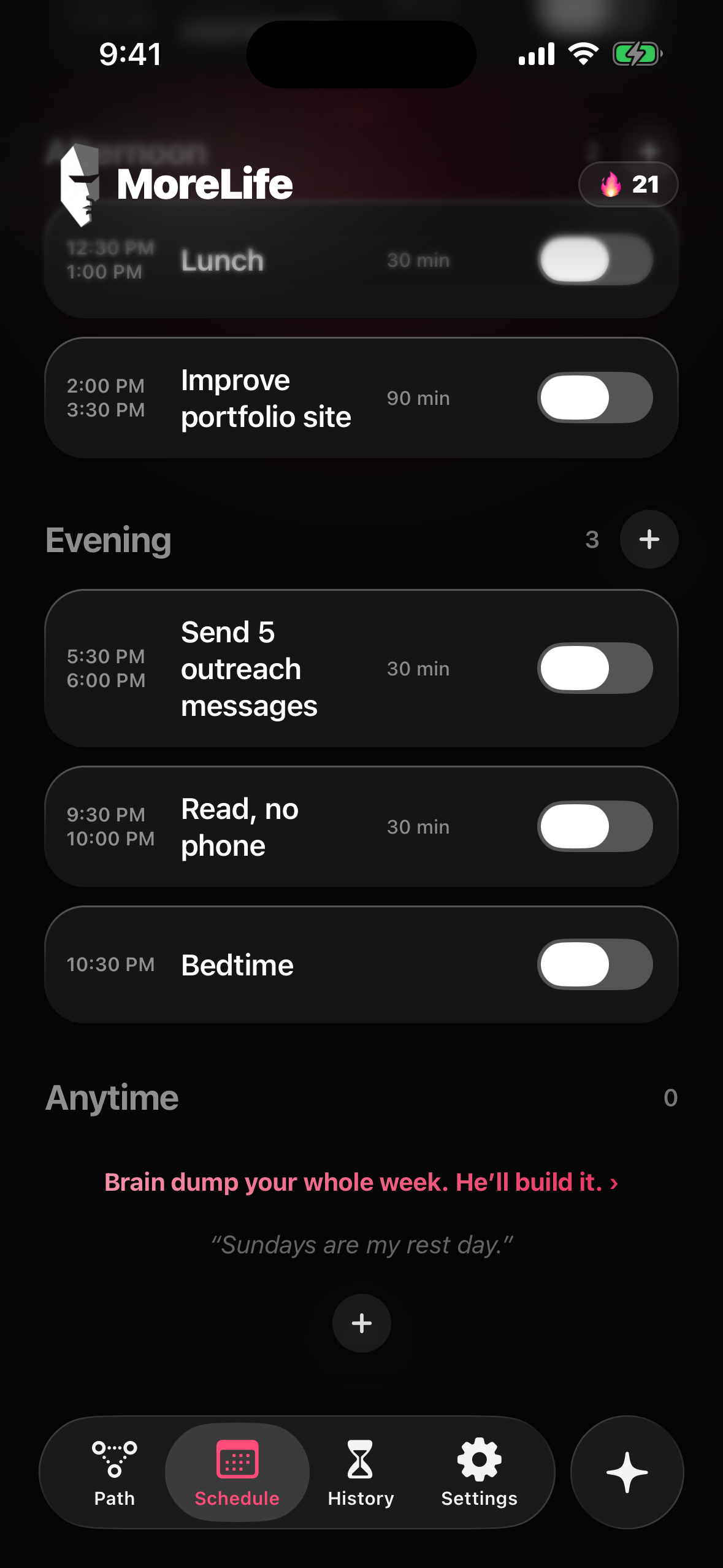 MoreLife schedule with time set aside for business work and outreach. Demo activity.